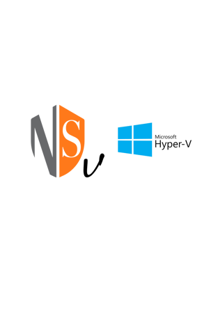 Picture for category NSv for Microsoft Hyper-V