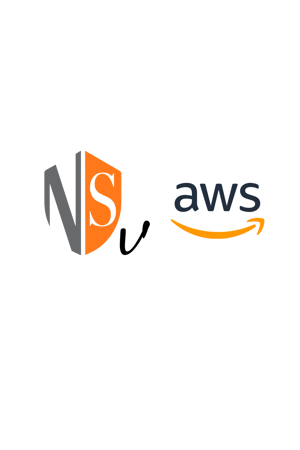 Picture for category NSv for Amazon Web Services