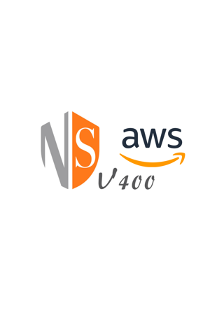 Picture for category NSv 400 Amazon Web Services