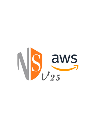 Picture for category NSv 25 Amazon Web Services