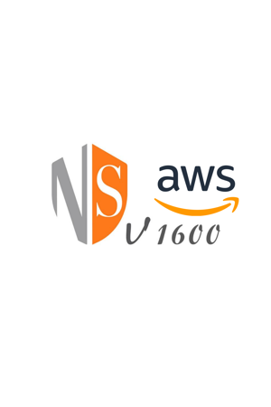 Picture for category NSv 1600 Amazon Web Services
