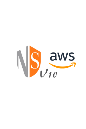 Picture for category NSv 10 Amazon Web Services
